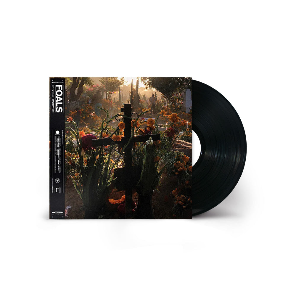 Everything Not Saved Will Be Lost Pt. 2 Vinyl