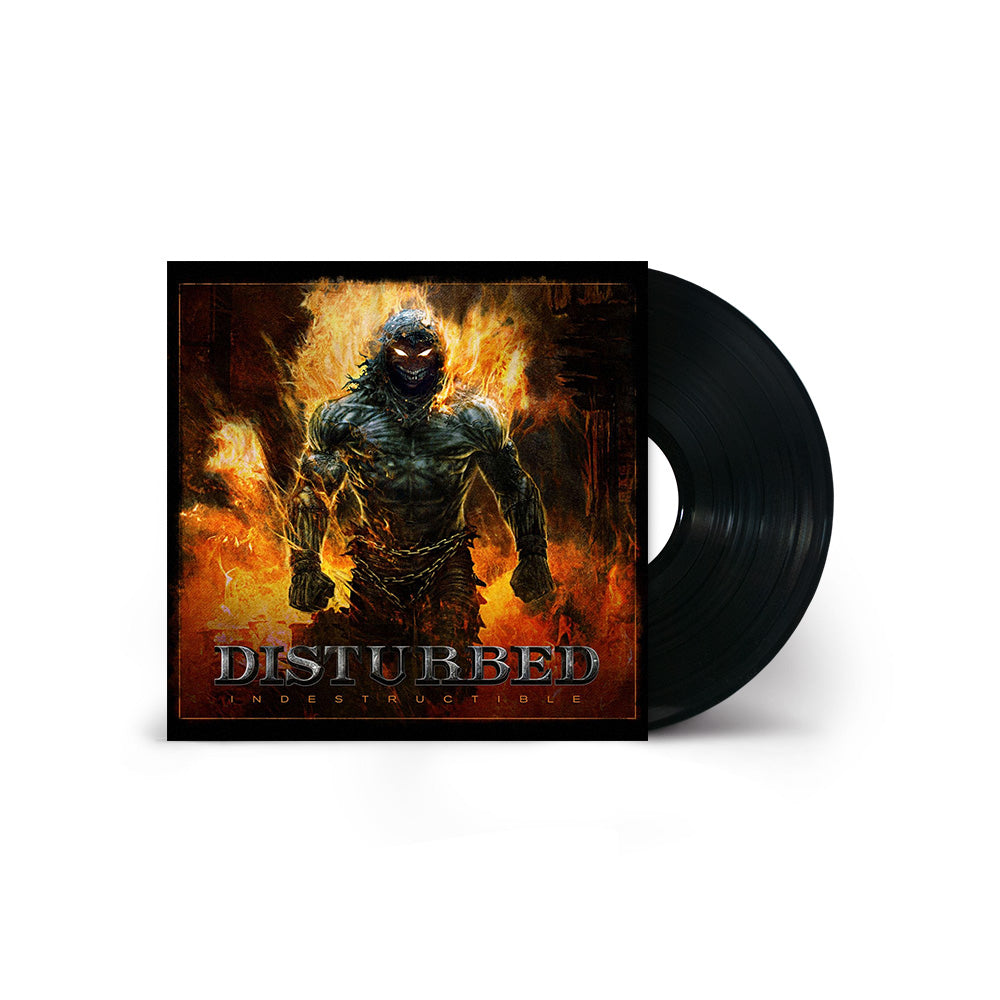 Indestructible Vinyl