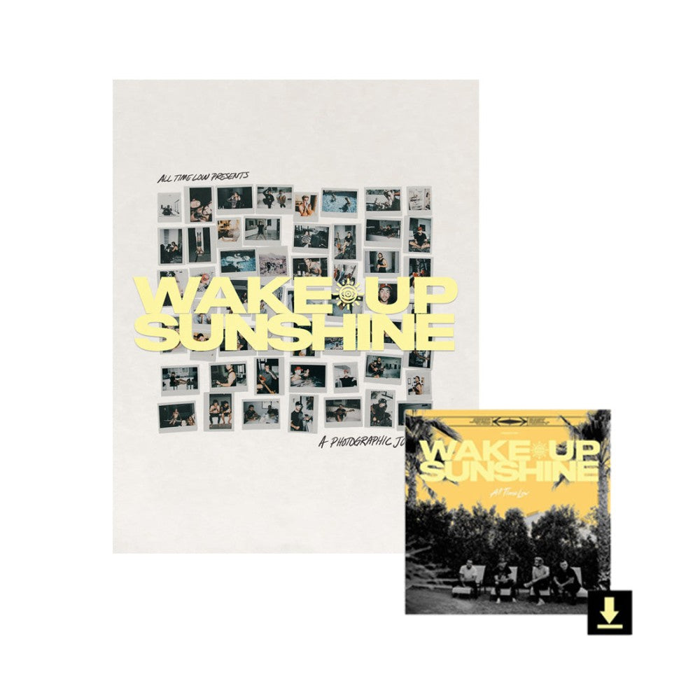 All time low authentic vinyl (digital album included)